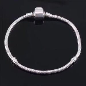 Sterling Silver Serpentine Charm Bracelet